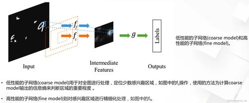 模型设计之注意力机制 动态网络 个人学习记录笔记